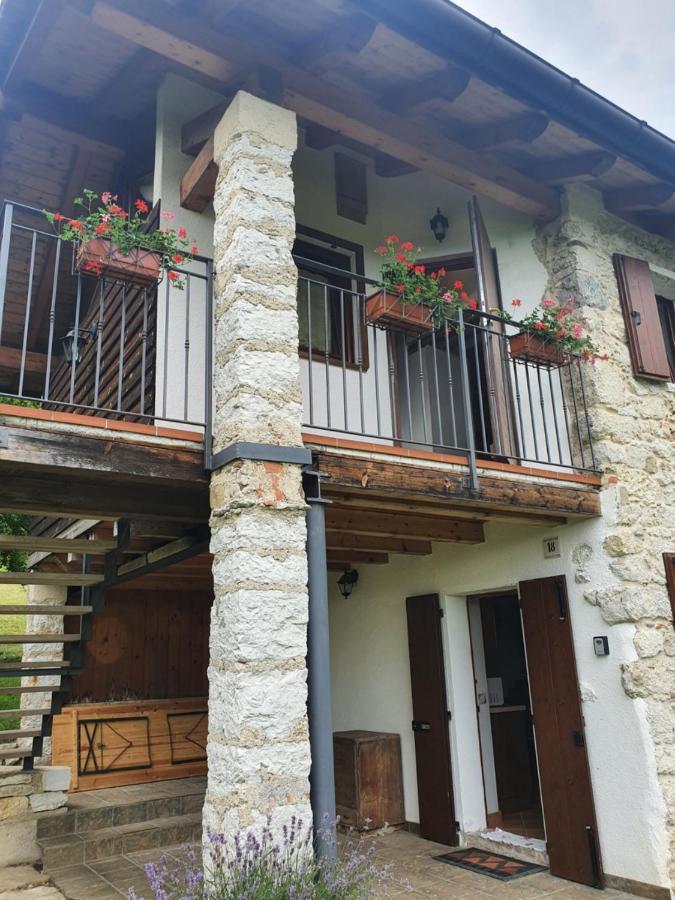 La Casa Del Ghiro - Parco Dolomiti Bellunesi Corazzai Eksteriør billede